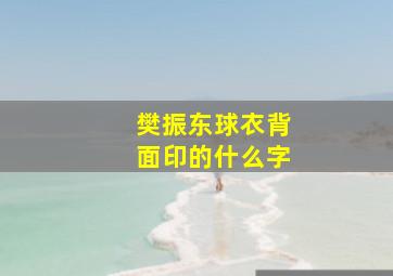 樊振东球衣背面印的什么字