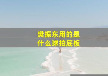 樊振东用的是什么球拍底板