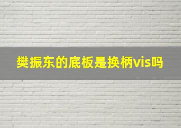 樊振东的底板是换柄vis吗