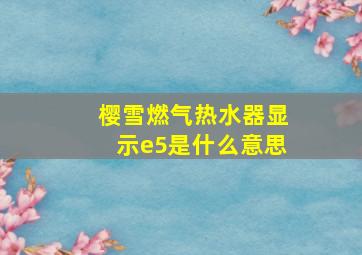 樱雪燃气热水器显示e5是什么意思