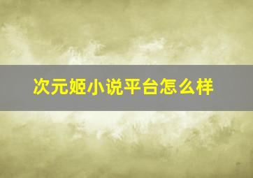 次元姬小说平台怎么样