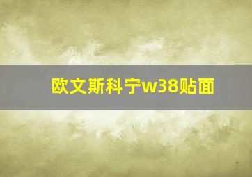 欧文斯科宁w38贴面