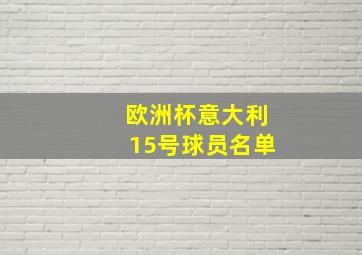 欧洲杯意大利15号球员名单