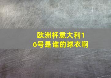 欧洲杯意大利16号是谁的球衣啊