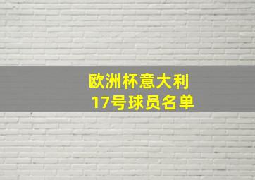 欧洲杯意大利17号球员名单