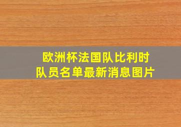 欧洲杯法国队比利时队员名单最新消息图片