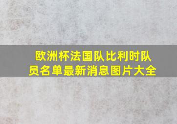 欧洲杯法国队比利时队员名单最新消息图片大全