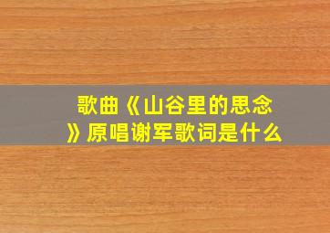 歌曲《山谷里的思念》原唱谢军歌词是什么