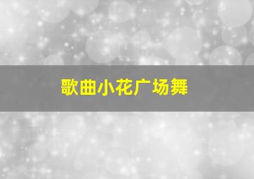 歌曲小花广场舞