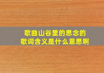 歌曲山谷里的思念的歌词含义是什么意思啊