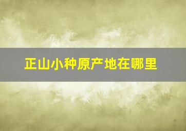 正山小种原产地在哪里