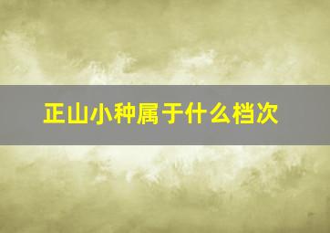 正山小种属于什么档次