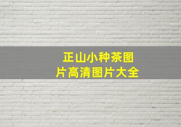 正山小种茶图片高清图片大全