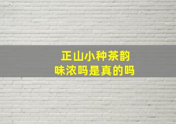 正山小种茶韵味浓吗是真的吗