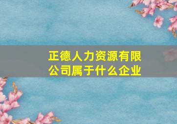 正德人力资源有限公司属于什么企业