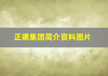 正德集团简介资料图片