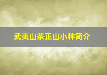 武夷山茶正山小种简介