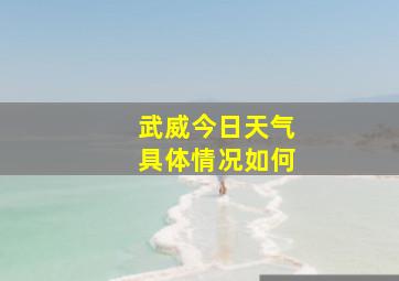 武威今日天气具体情况如何