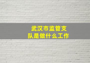 武汉市监管支队是做什么工作