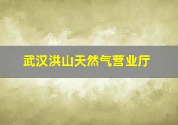 武汉洪山天然气营业厅