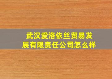 武汉爱洛依丝贸易发展有限责任公司怎么样