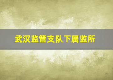 武汉监管支队下属监所