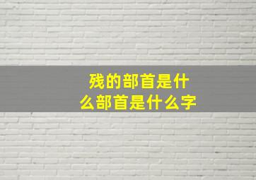 残的部首是什么部首是什么字