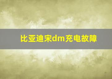 比亚迪宋dm充电故障