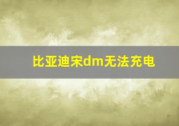 比亚迪宋dm无法充电