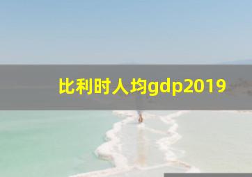 比利时人均gdp2019