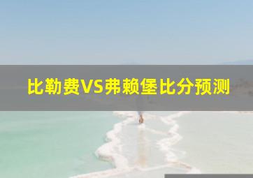 比勒费VS弗赖堡比分预测