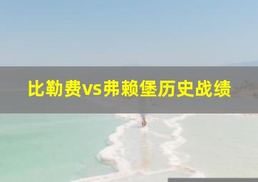 比勒费vs弗赖堡历史战绩