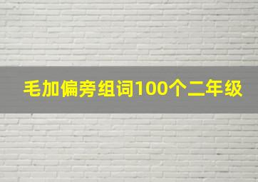 毛加偏旁组词100个二年级