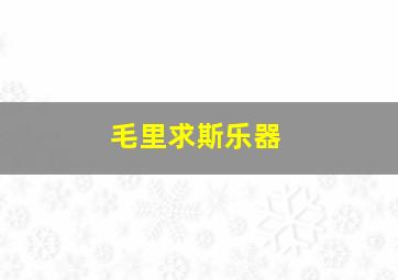 毛里求斯乐器