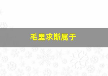 毛里求斯属于