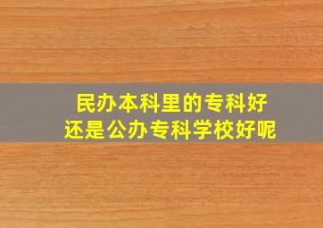 民办本科里的专科好还是公办专科学校好呢