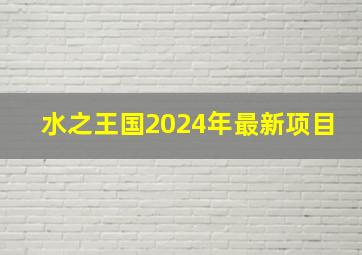 水之王国2024年最新项目