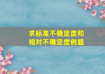 求标准不确定度和相对不确定度例题