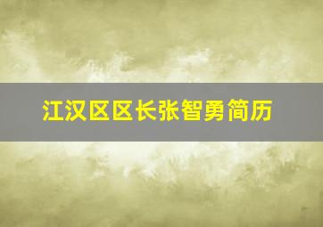 江汉区区长张智勇简历