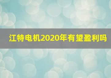 江特电机2020年有望盈利吗