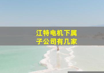 江特电机下属子公司有几家