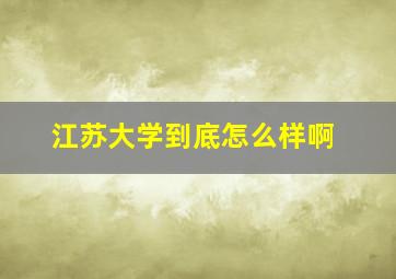 江苏大学到底怎么样啊