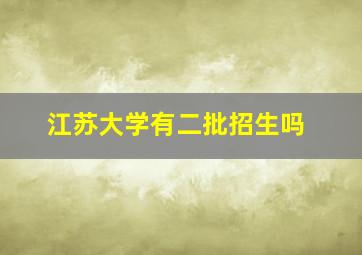 江苏大学有二批招生吗