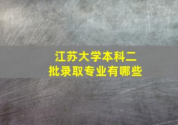 江苏大学本科二批录取专业有哪些