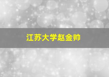 江苏大学赵金帅