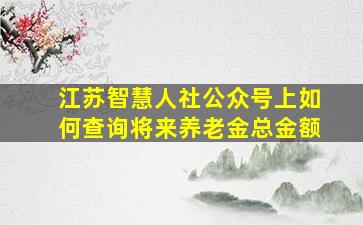 江苏智慧人社公众号上如何查询将来养老金总金额