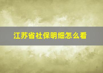 江苏省社保明细怎么看