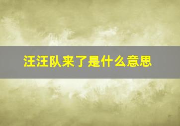 汪汪队来了是什么意思