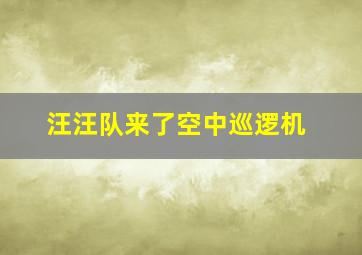 汪汪队来了空中巡逻机