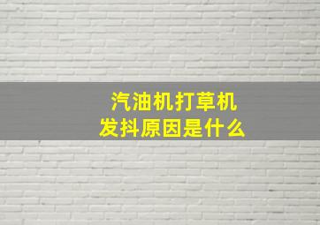 汽油机打草机发抖原因是什么